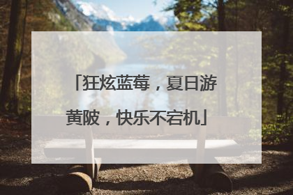 狂炫蓝莓，夏日游黄陂，快乐不宕机