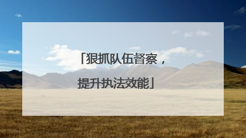 狠抓队伍督察，提升执法效能