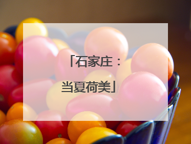 石家庄：当夏荷美