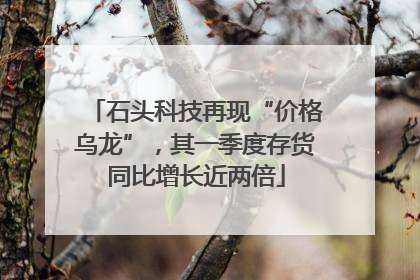 石头科技再现“价格乌龙”，其一季度存货同比增长近两倍