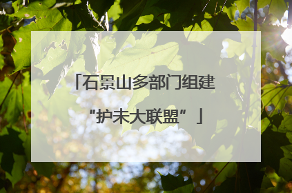 石景山多部门组建“护未大联盟”