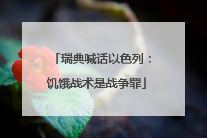 瑞典喊话以色列：饥饿战术是战争罪