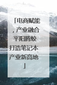 电商赋能，产业融合 平阳腾蛟打造笔记本产业新高地
