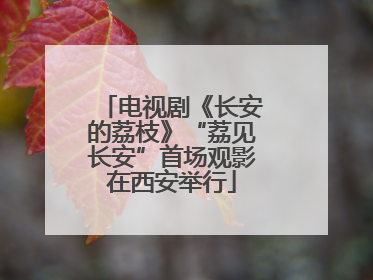 电视剧《长安的荔枝》“荔见长安”首场观影在西安举行