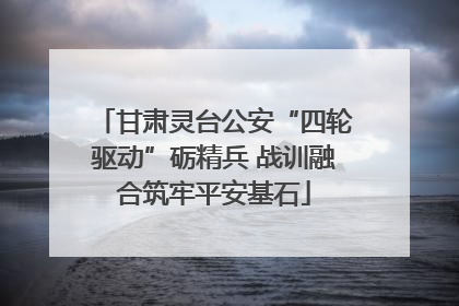 甘肃灵台公安“四轮驱动”砺精兵 战训融合筑牢平安基石