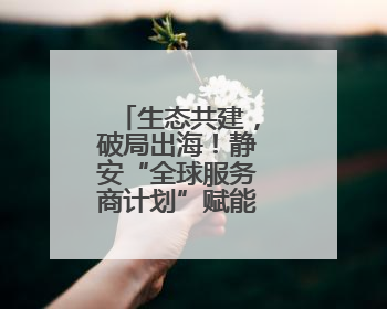 生态共建，破局出海！静安“全球服务商计划”赋能电商闯世界