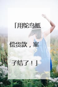 用鸵鸟抵偿货款，案子结了！