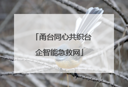 甬台同心共织台企智能急救网