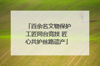百余名文物保护工匠同台竞技 匠心共护丝路遗产