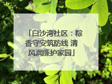 白沙湾社区：粽香守安筑防线 清风润廉护家园