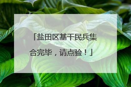 盐田区基干民兵集合完毕，请点验！
