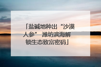 盐碱地种出“沙漠人参” 潍坊滨海解锁生态致富密码