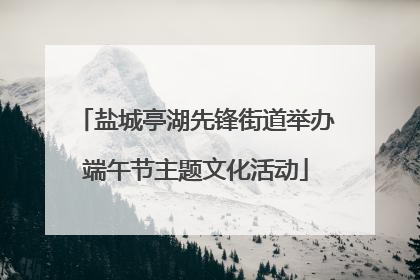 盐城亭湖先锋街道举办端午节主题文化活动