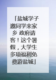 盐城学子邀同学来家乡 政府请客！这个暑假，大学生多项福利免费游盐城