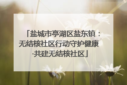 盐城市亭湖区盐东镇：无结核社区行动守护健康 ·共建无结核社区