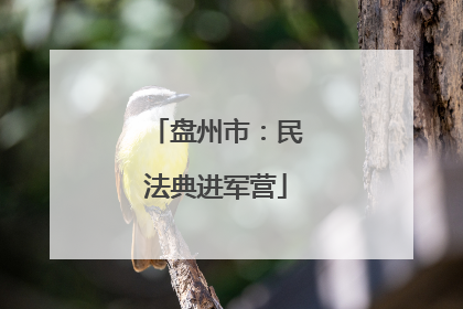 盘州市：民法典进军营