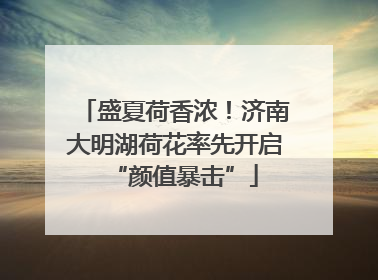 盛夏荷香浓！济南大明湖荷花率先开启“颜值暴击”
