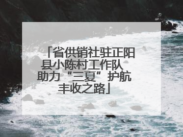 省供销社驻正阳县小陈村工作队 助力“三夏”护航丰收之路