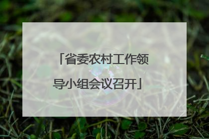 省委农村工作领导小组会议召开