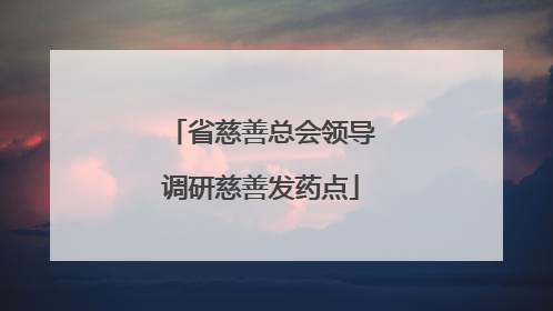 省慈善总会领导调研慈善发药点