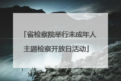 省检察院举行未成年人主题检察开放日活动