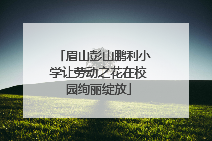 眉山彭山鹏利小学让劳动之花在校园绚丽绽放