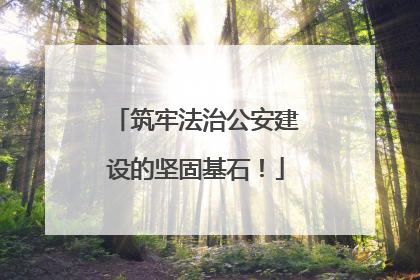 筑牢法治公安建设的坚固基石！