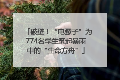 破壁！“电骡子”为774名学生筑起暴雨中的“生命方舟”