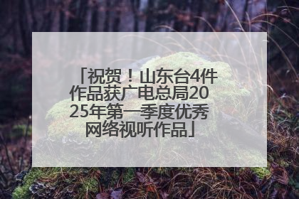 祝贺！山东台4件作品获广电总局2025年第一季度优秀网络视听作品
