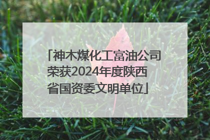 神木煤化工富油公司荣获2024年度陕西省国资委文明单位