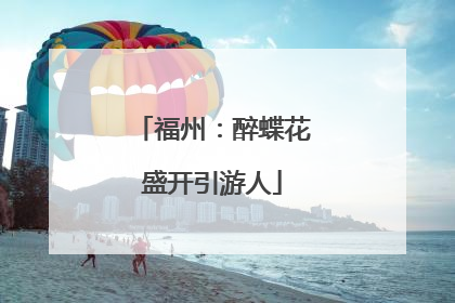 福州：醉蝶花盛开引游人