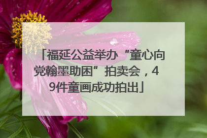 福延公益举办“童心向党翰墨助困”拍卖会，49件童画成功拍出