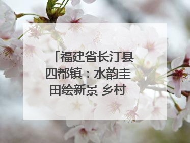福建省长汀县四都镇：水韵圭田绘新景 乡村振兴谱华章