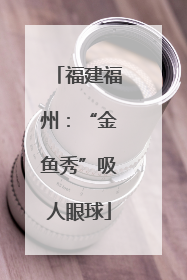 福建福州：“金鱼秀”吸人眼球