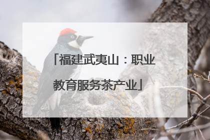 福建武夷山：职业教育服务茶产业