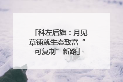 科左后旗：月见草铺就生态致富“可复制”新路