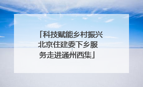科技赋能乡村振兴 北京住建委下乡服务走进通州西集