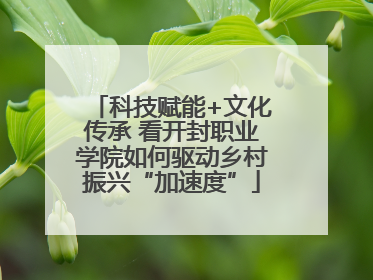 科技赋能+文化传承 看开封职业学院如何驱动乡村振兴“加速度”