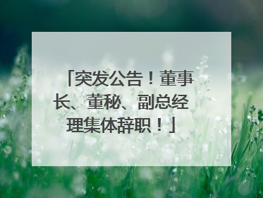 突发公告！董事长、董秘、副总经理集体辞职！