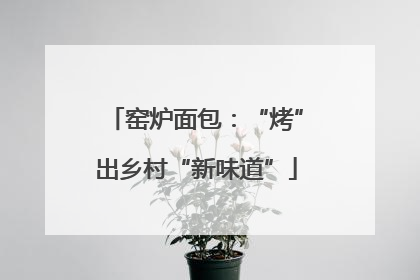 窑炉面包：“烤”出乡村“新味道”