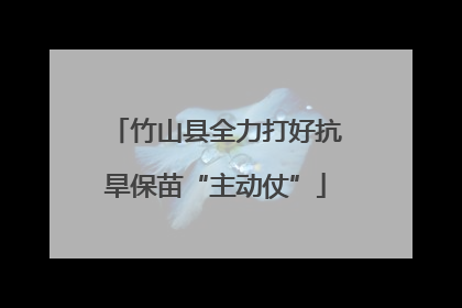 竹山县全力打好抗旱保苗“主动仗”