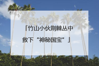 竹山小伙荆棘丛中救下“神秘国宝”