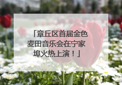章丘区首届金色麦田音乐会在宁家埠火热上演！