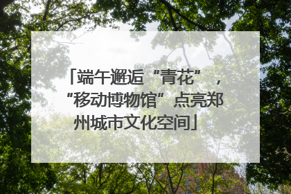 端午邂逅“青花”，“移动博物馆”点亮郑州城市文化空间