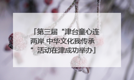 第三届“津台童心连两岸 中华文化我传承”活动在津成功举办