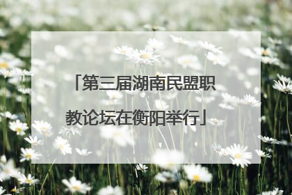 第三届湖南民盟职教论坛在衡阳举行