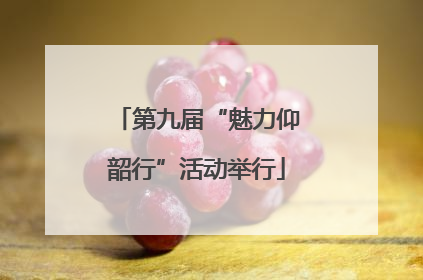 第九届“魅力仰韶行”活动举行