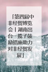 第四届中非经贸博览会丨湖南出台一揽子鼓励措施助力对非经贸发展
