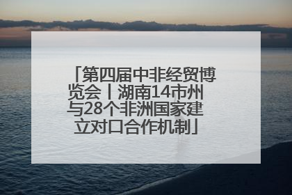 第四届中非经贸博览会丨湖南14市州与28个非洲国家建立对口合作机制