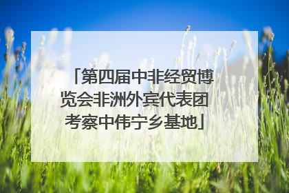 第四届中非经贸博览会非洲外宾代表团考察中伟宁乡基地
